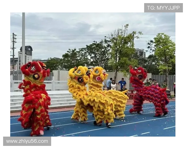 醒狮腾跃赛龙夺锦共襄盛会展现中华体育精神